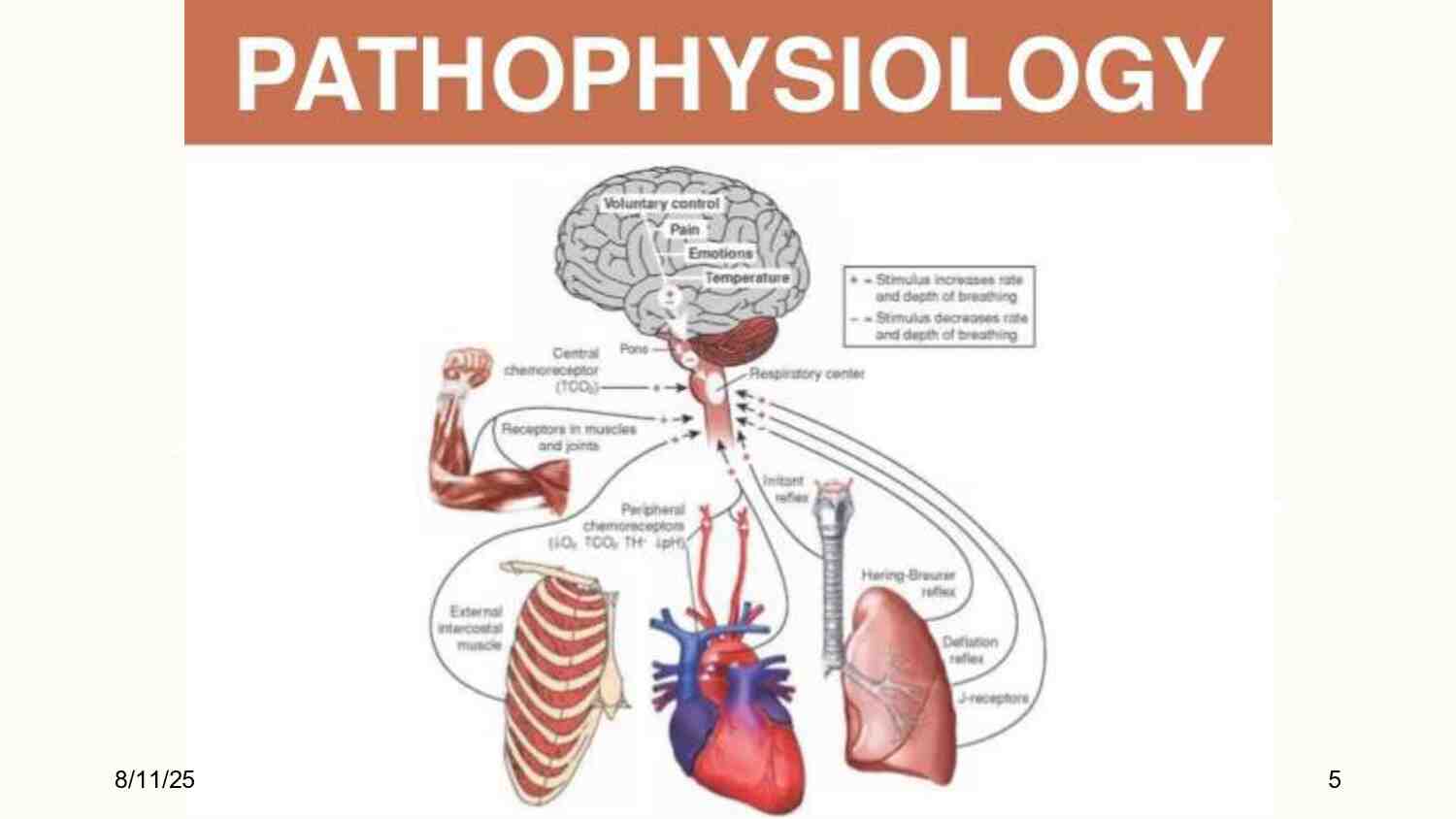 [week-1]-approaching-dyspnea-comprehensive-management-and-diagnostic-strategies-462